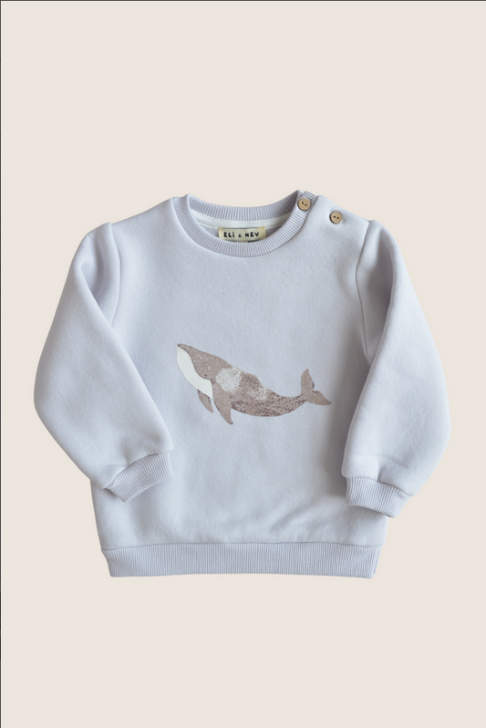 Sweater Whale
